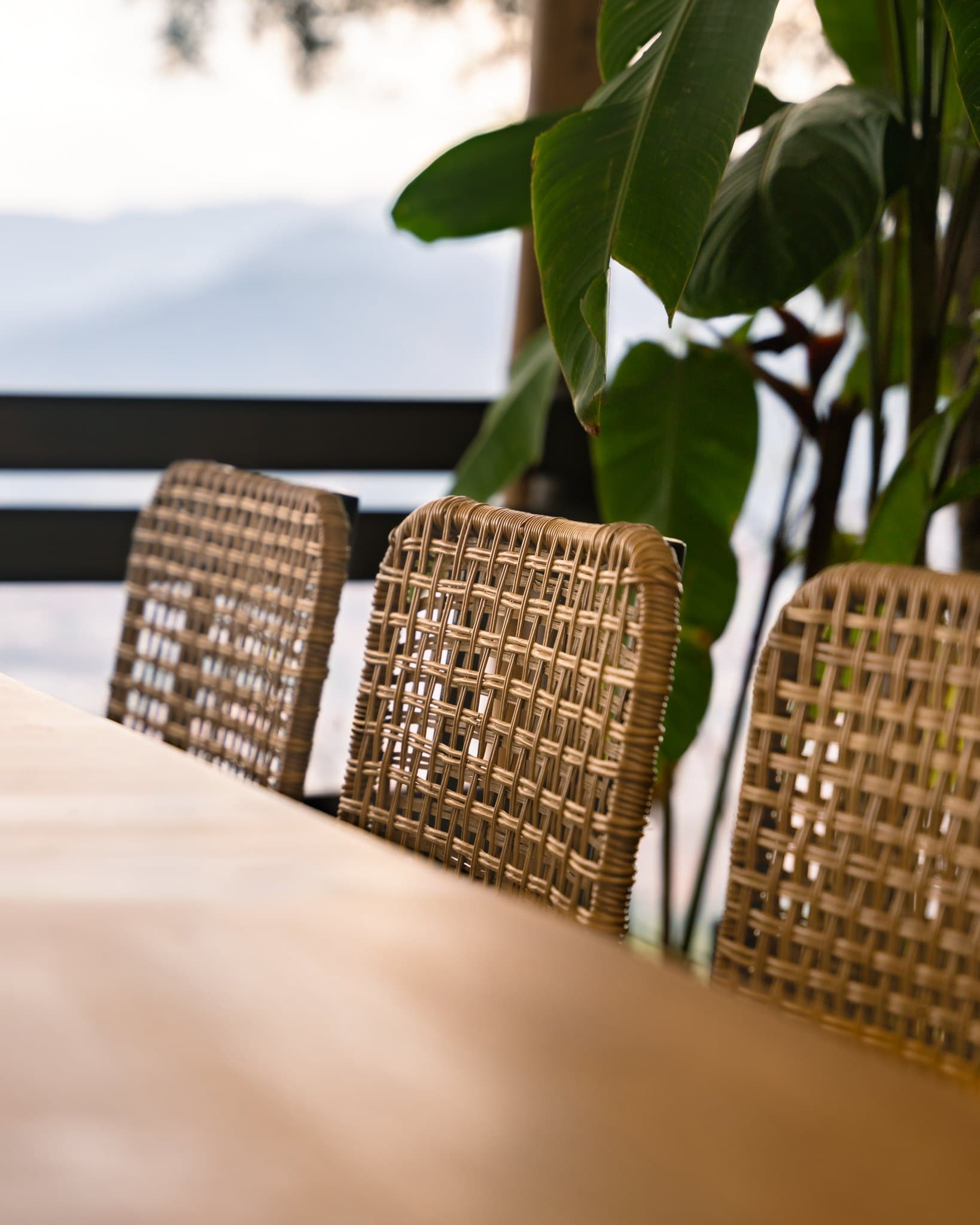Ocazo Restaurant — image 4